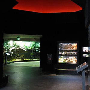 MOLA - Adaptations Gallery