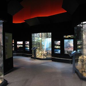 MOLA - Adaptations Gallery