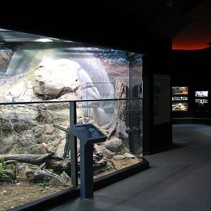 MOLA - Desert Exhibit