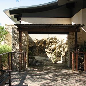MOLA - Cayman Island Blue Iguana Exhibit
