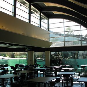 MOLA - Crocodile Cafe Interior