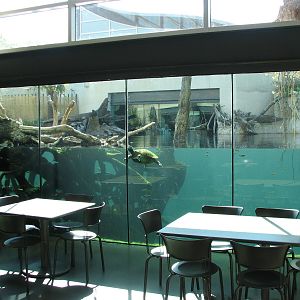 MOLA - Crocodile Cafe Interior View of Gharial River