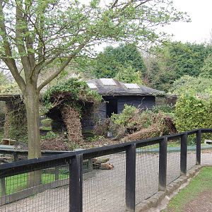 Semi-Knocked down aviaries