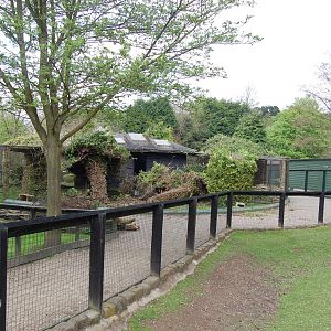 Semi-Knocked down aviaries