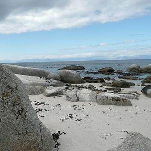 Boulders Beach , Cape Peninsula .