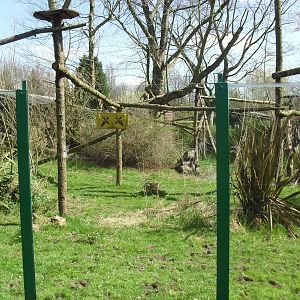Coati enclosure 2010