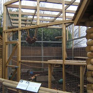 New Rhesus Monkey enclosure