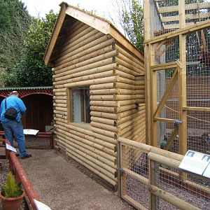 New Rhesus Monkey enclosure and house