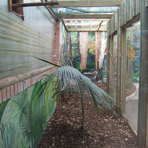 View of the empty Toucan enclosure