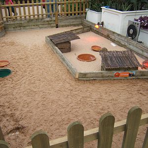 New Sulcatta Enclosure