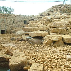 Himalaya entrance complex at Twycross 03/05/10