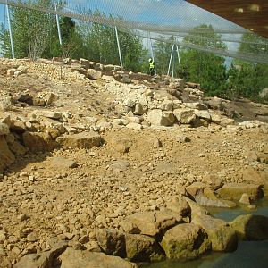 Himalaya entrance complex at Twycross 03/05/10