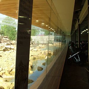 Himalaya entrance complex at Twycross 03/05/10