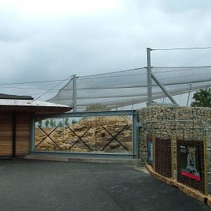 Himalaya entrance complex at Twycross 03/05/10