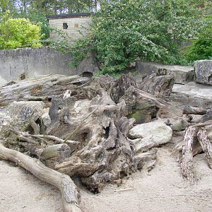 Meerkat enclosure at Cotswold Wildlife Park, 3 May 2010