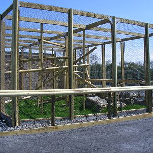 New enclosure at Folly Farm Zoo, 2 May 2010