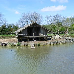 Ring-tailed lemur island at Folly Farm Zoo, 2 May 2010