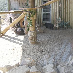 Marsh mongoose enclosure at Folly Farm Zoo, 2 May 2010