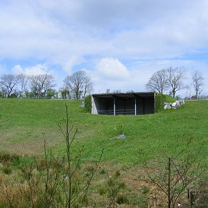 Rhino day shelter at Manor House Wildlife Park, 2 May 2010
