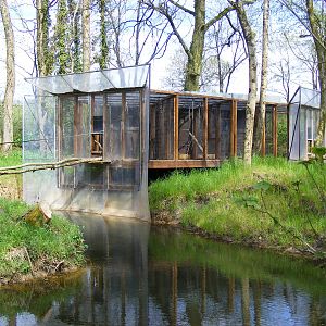 Siamang gibbon and black and white ruffed lemur housing at Manor House Wild