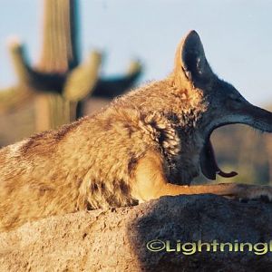 81247569 Z072886-R03-015-6