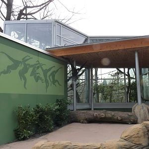 Gibbon house, clsoer View