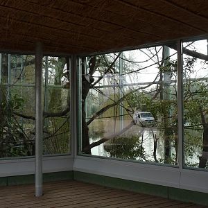 Gibbon house, the indoor exhibit