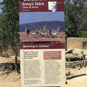 Grevy's Zebra Signage