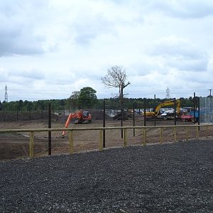 Lion Enclosure in progress - opens in 2 weeks