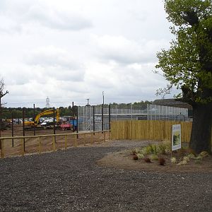 Lion Enclosure in progress - opens in 2 weeks