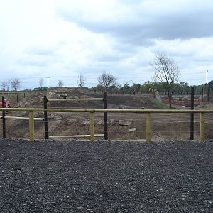 Lion Enclosure in progress - opens in 2 weeks