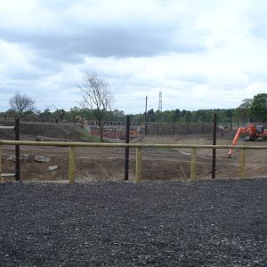 Lion Enclosure in progress - opens in 2 weeks