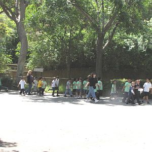 A Typical Weekday Filled With School Children