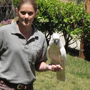 Scooter and Trainer - World of Birds Show