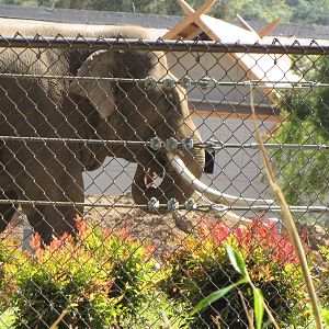 A Brief View of Billy Cruising His Space