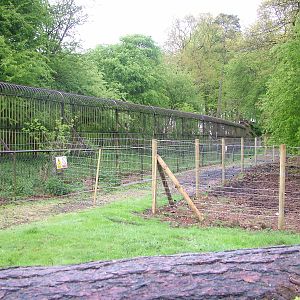 Bear and Boar exhibits at Whipsnade 08/05/10
