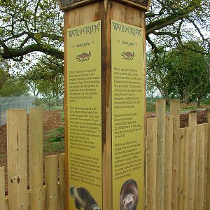 Wild Wild Whipsnade signage example at Whipsnade 08/05/10
