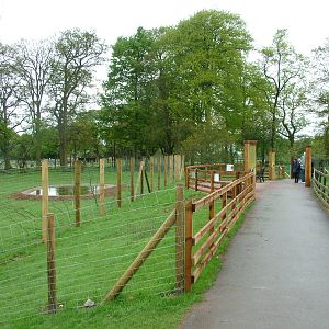 Moose and Wolf viewing areas at Whipsnade 08/05/10