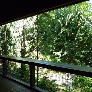 Walk-Through Bald Eagle Aviary