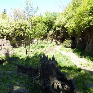 African Wild Dog Exhibit