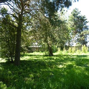 White-Naped Crane Exhibit