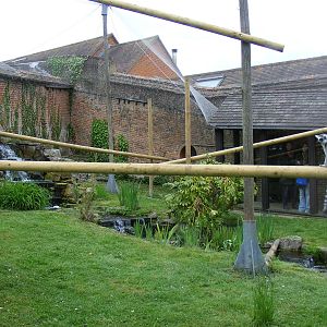 Ring-tailed lemur enclosure at Marwell Wildlife, 9 May 2010