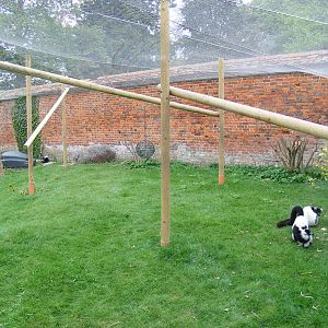 Black and white ruffed lemur enclosure at Marwell Wildlife, 9 May 2010