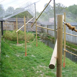Red ruffed lemur enclosure at Marwell Wildlife, 9 May 2010