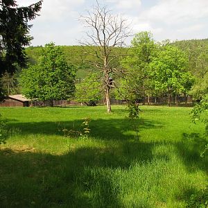 Old antelope enclosure