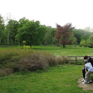 Old antelope enclosure