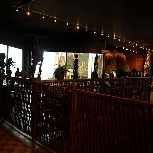 Tropikariet - Masai Mara Café