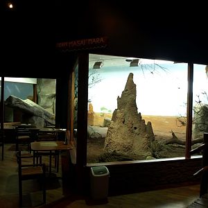 Tropikariet - Masai Mara Café