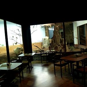 Tropikariet - Masai Mara Café