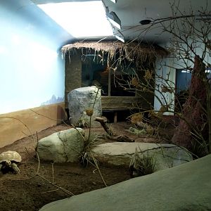Tropikariet - African savannah exhibit